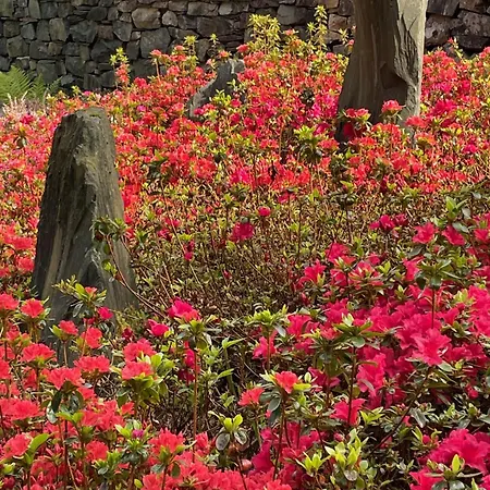 Hotel The Leathes Head 3*